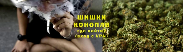 PSILOCYBIN Арсеньев