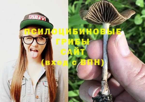 мет Армянск