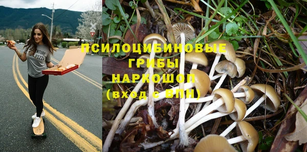 гашиш Богданович