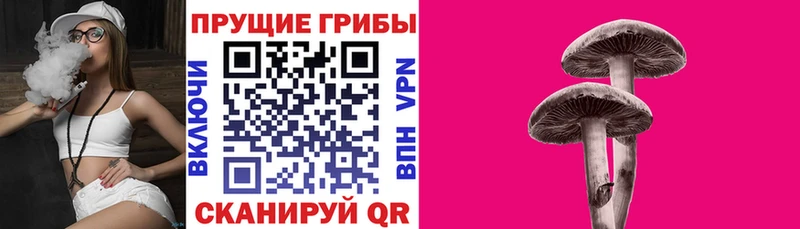как найти закладки  Рыбинск  Псилоцибиновые грибы мицелий 